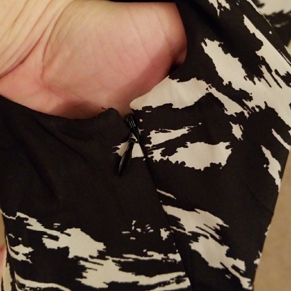 Express Dress - Picture 4 of 4